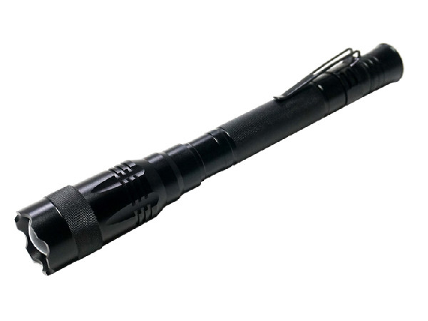 Gantungan kunci ramah lingkungan Aluminium 2AA Baterai CREE LED Porjective logo Senter untuk holloween